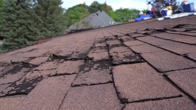 Best Roof Insulation Installation  in South San Jose Hills, CA