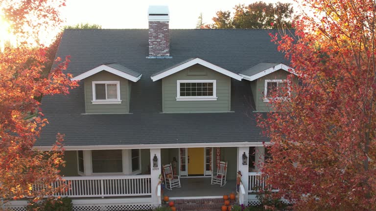 Best Roof Moss and Algae Removal  in South San Jose Hills, CA
