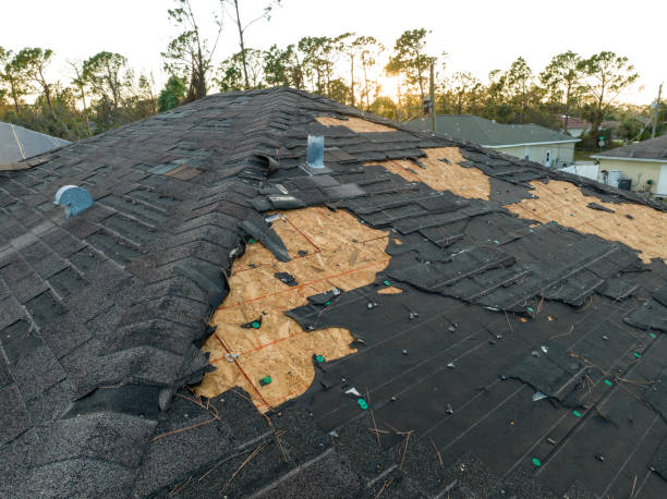 Best Gutter Installation and Repair  in South San Jose Hills, CA